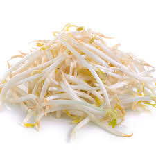 Bean: Sprouts