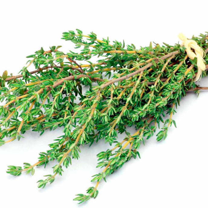 Herb: Thyme