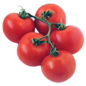 Tomato: Vine