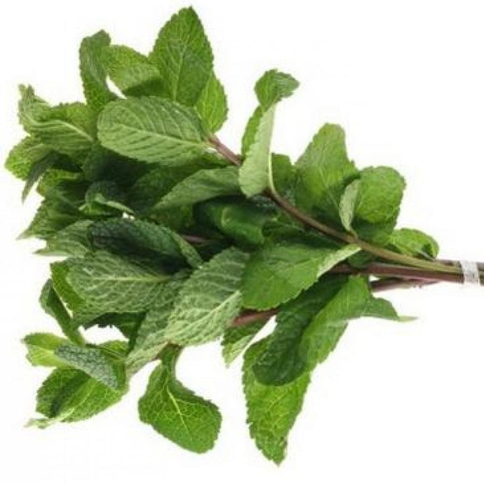 Herb: Mint