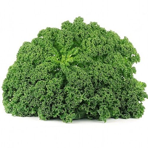 Kale: Curly