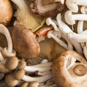 Mushroom: Wild Mix