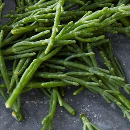 Samphire x 125g