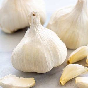 Herb: Garlic Bulb