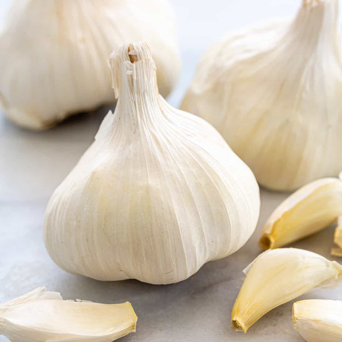 Herb: Garlic Bulb