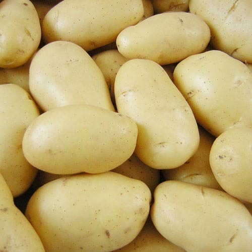 Potato: Washed Whites
